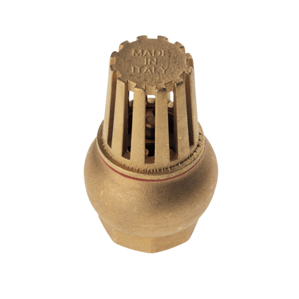 <span style="color: #ff0000; font-size: 24px;font-weight:600;">Art. 18</span><br> BRASS FOOT VALVE